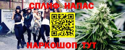 шишки Балахна