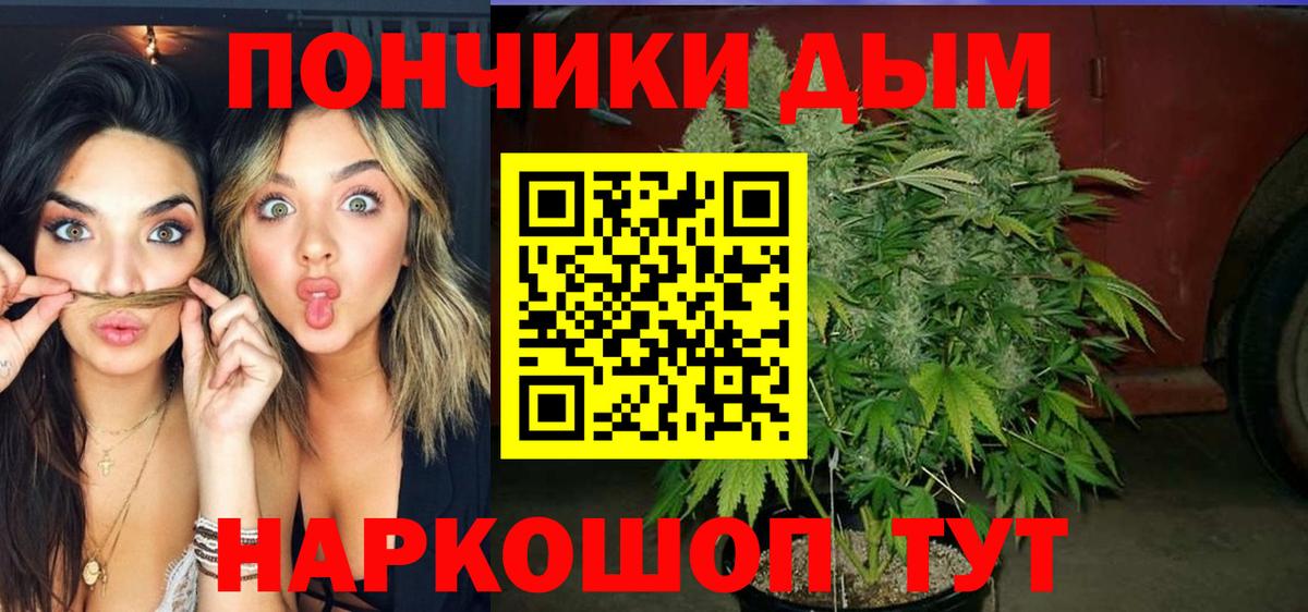 Шишки марихуана Bruce Banner  Канабис ГИДРОПОН  Горно-Алтайск  МАРИХУАНА марихуана  Вход с VPN 